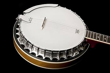 バンジョー washburn B-9 Amazon.co.jp: Washburn B9 Banjo : 楽器・音響機器